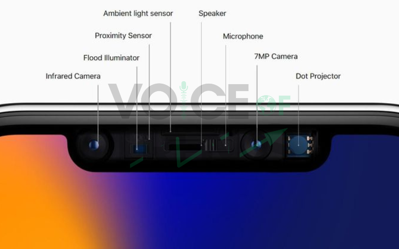 iPhone SE vs iPhone X